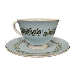 Vintage 1974 Royal Doulton Harmony Porcelain Tea Cup and Saucer